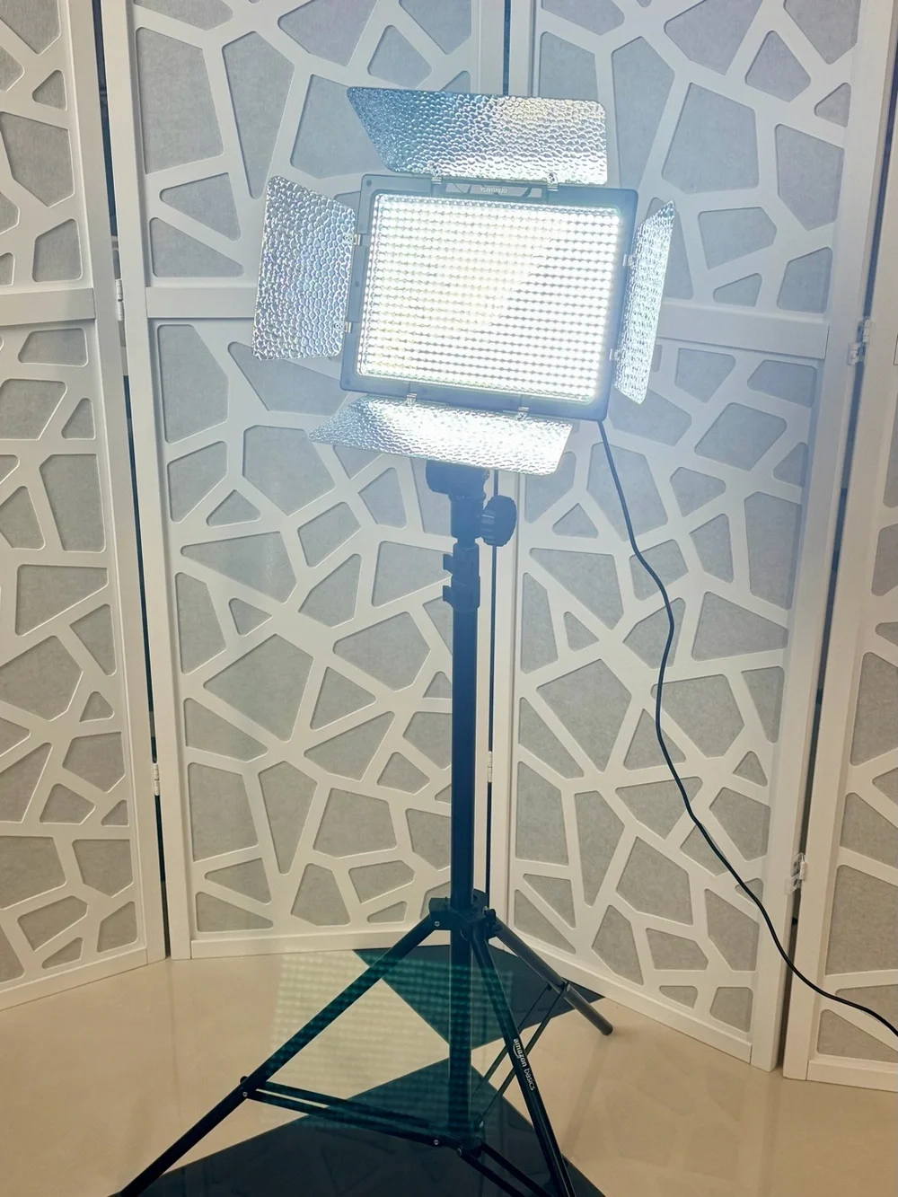YONGNUO YN600L II LED Video Light + Stand & Power Cord